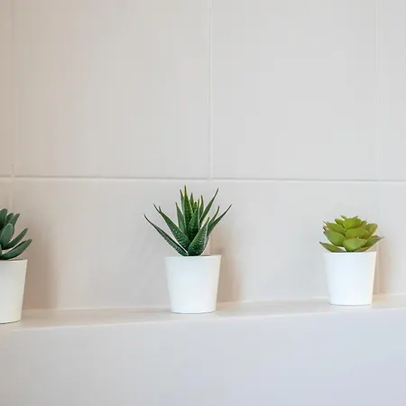 Bologna41 Apartamento