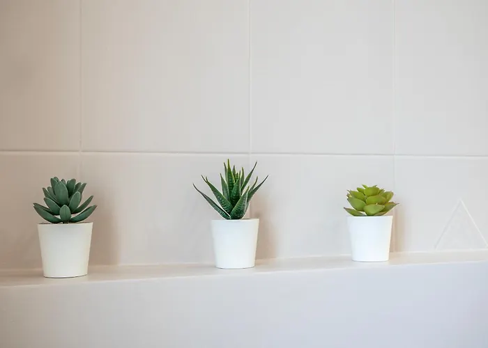 Bologna41 Appartement